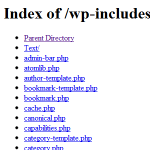 option-indexes